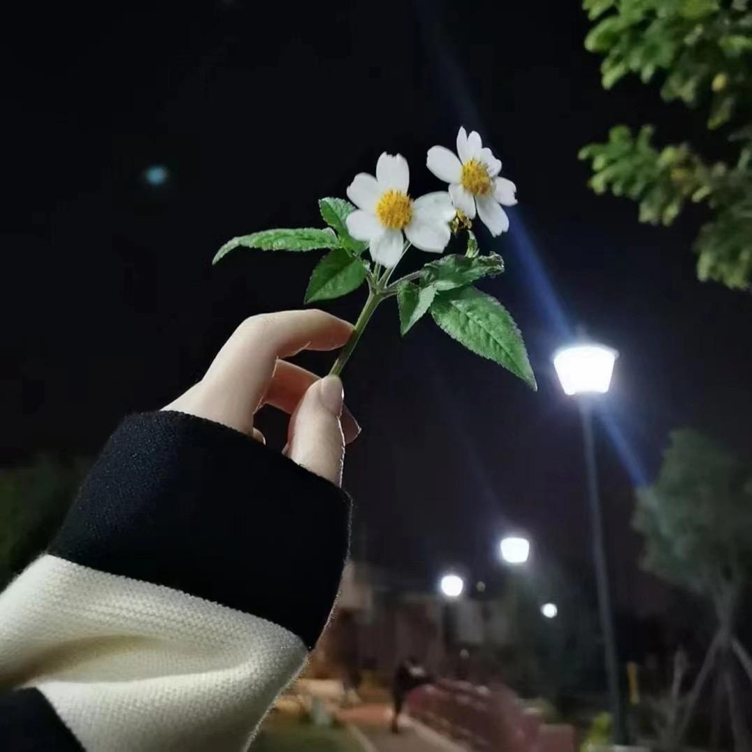 💞愿时光ꦿ待 ꦿ我ꦿ如ꦿ 初ཀྀ࿐-