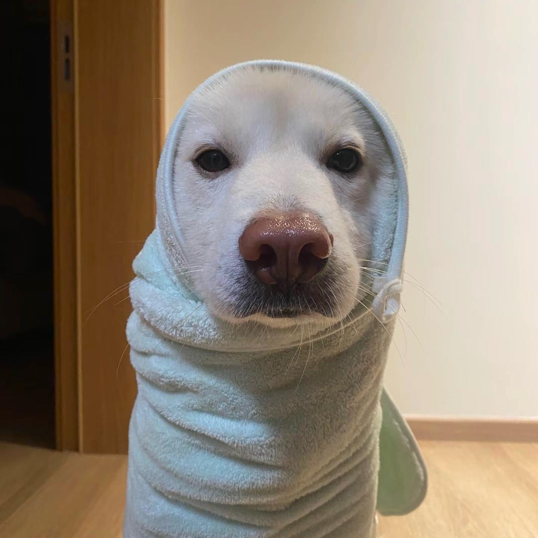香香大蛤蟆