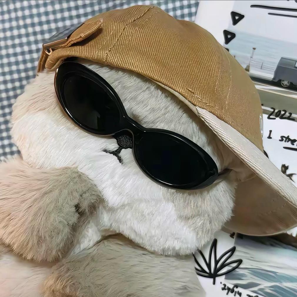 小佳（没排面）