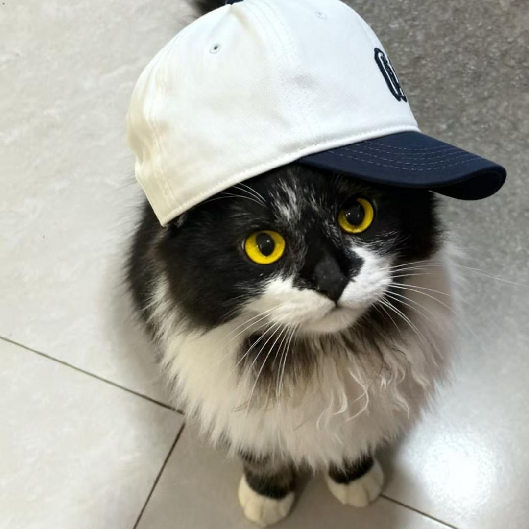 木白ing