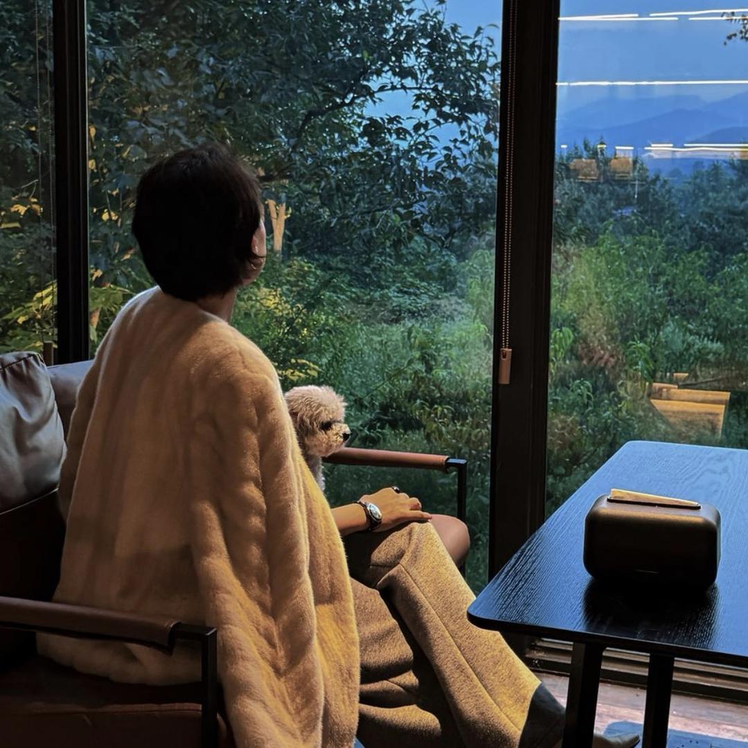 叶子定制-直播精选