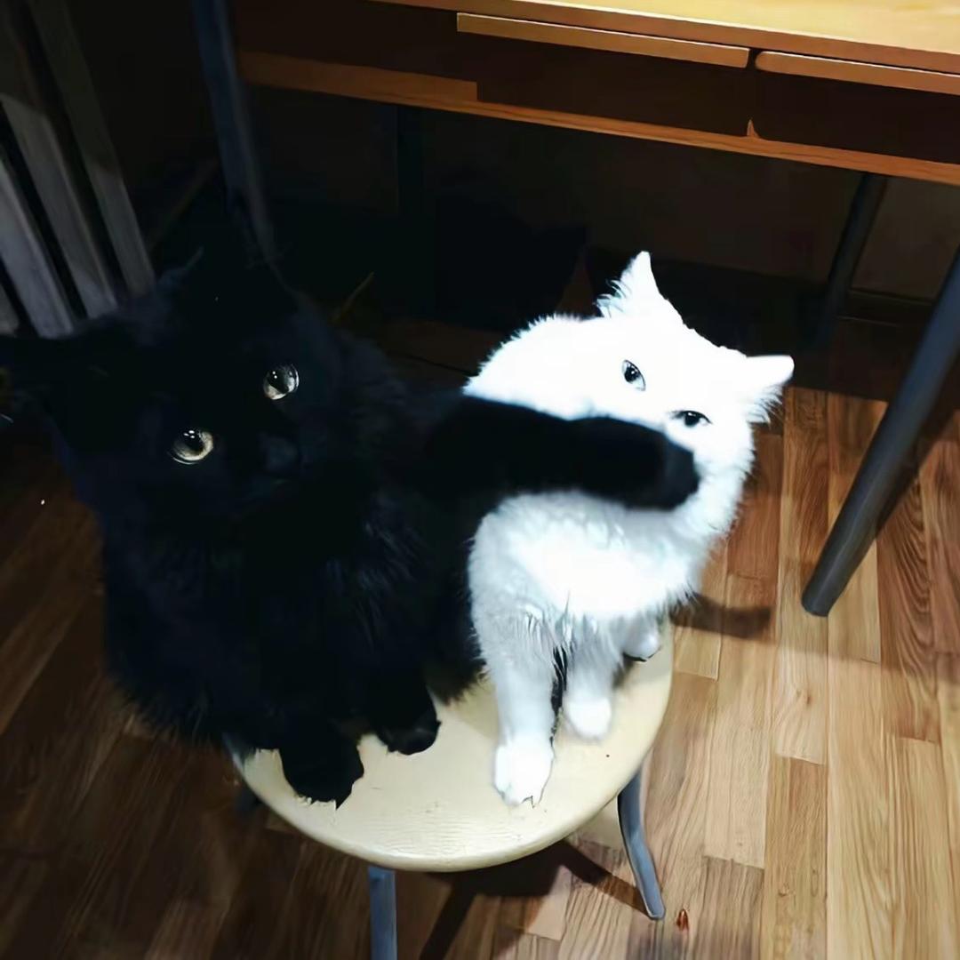 有点小u郁