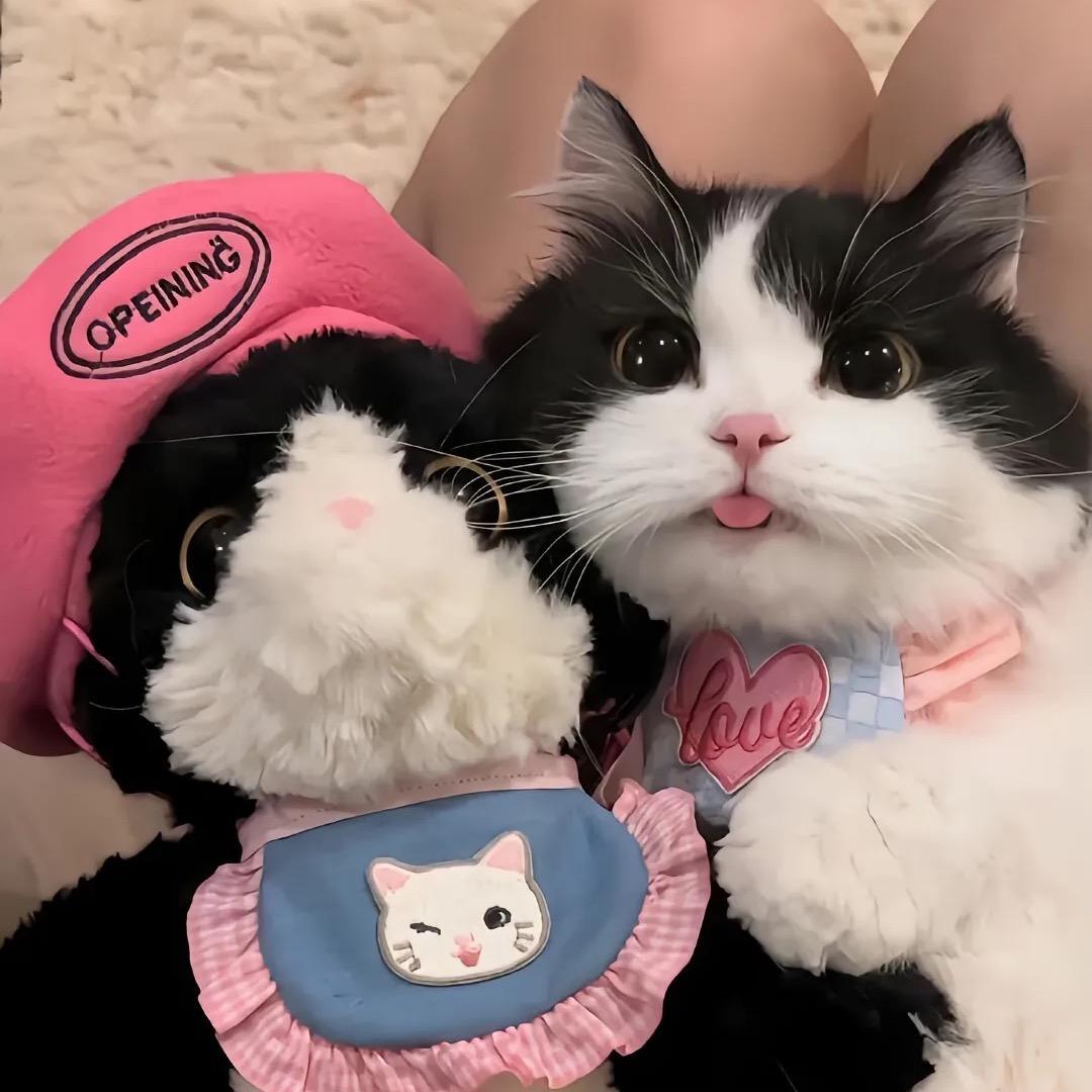 少装emo了