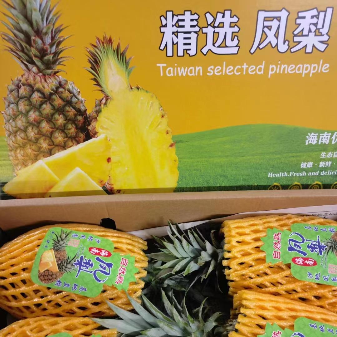 海南水果