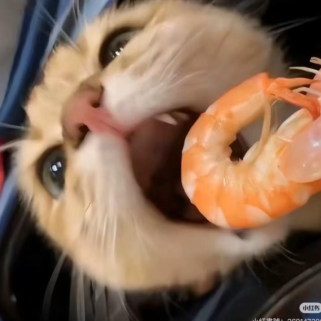煎饼狗子