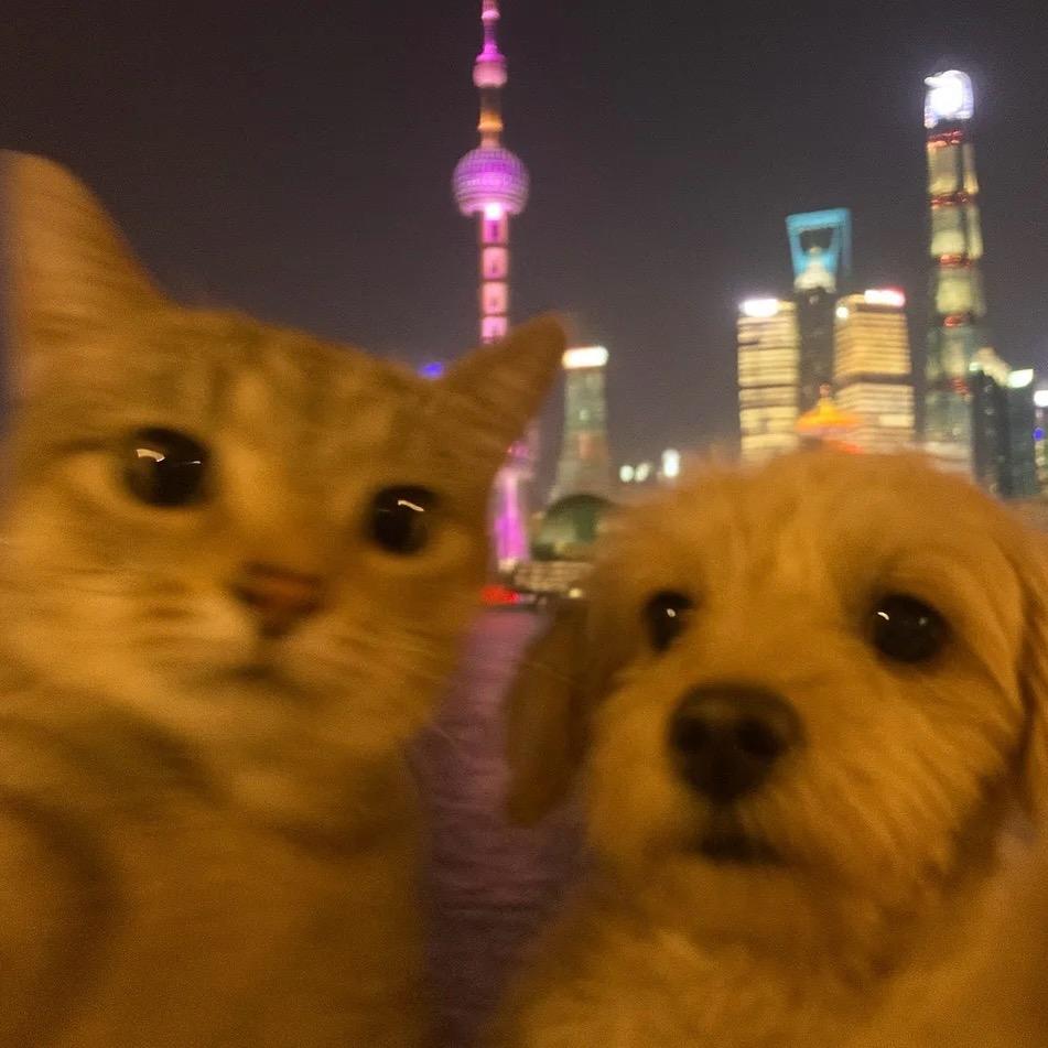 七里.