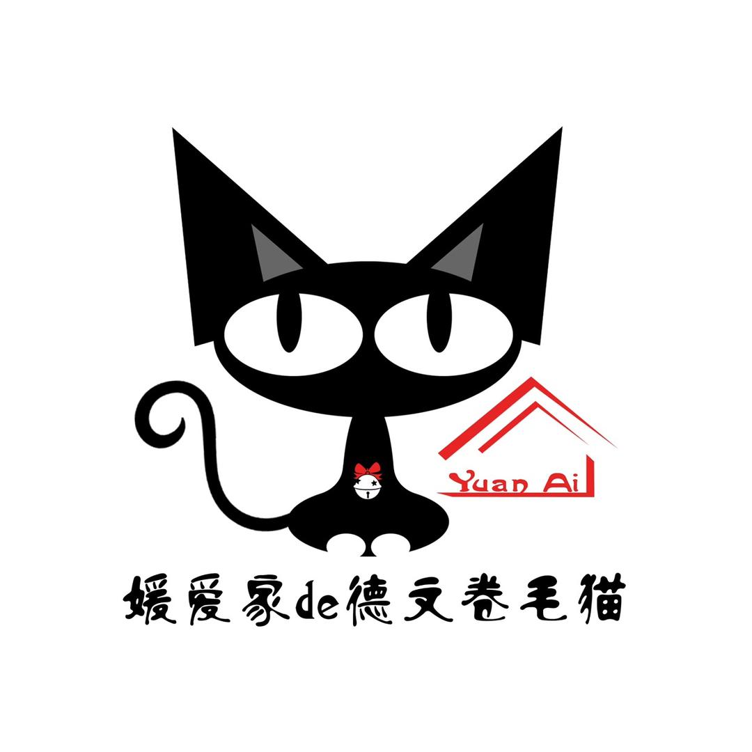 🪄媛爱家de德文卷毛猫🎏