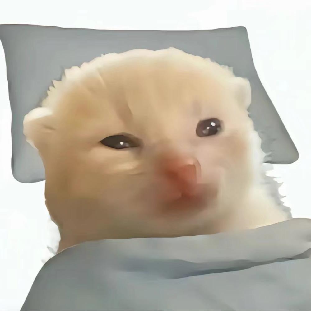 AAA建材王哥