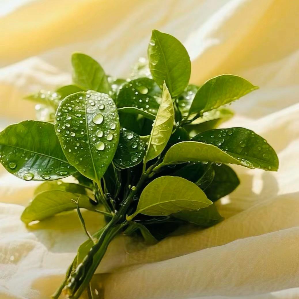 福建老阿姨在拉萨开民宿