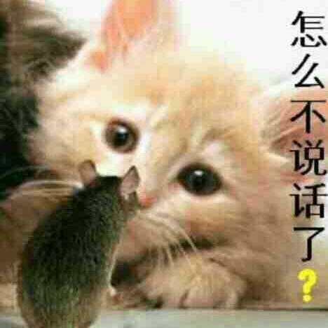 用户随缘
