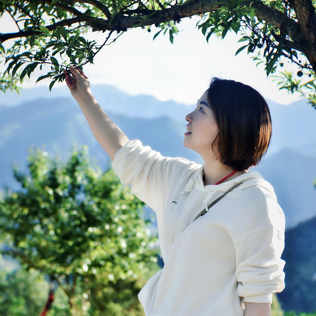 晏晏