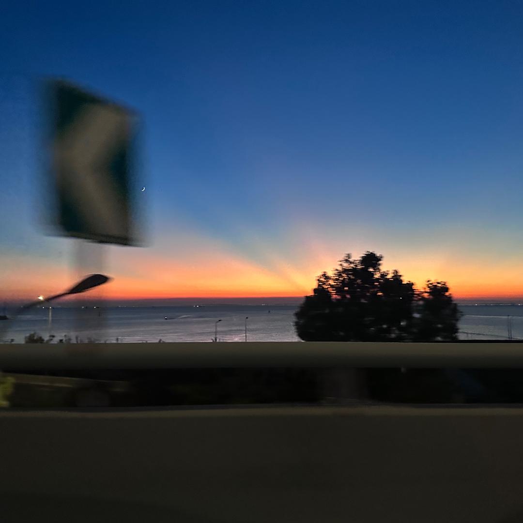 ✨不吃香菜🦀✨