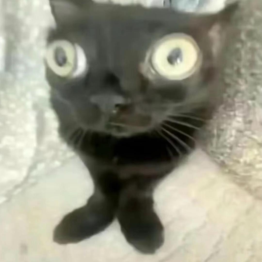 不争气的地球人