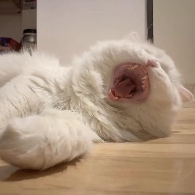 情绪稳定不破防