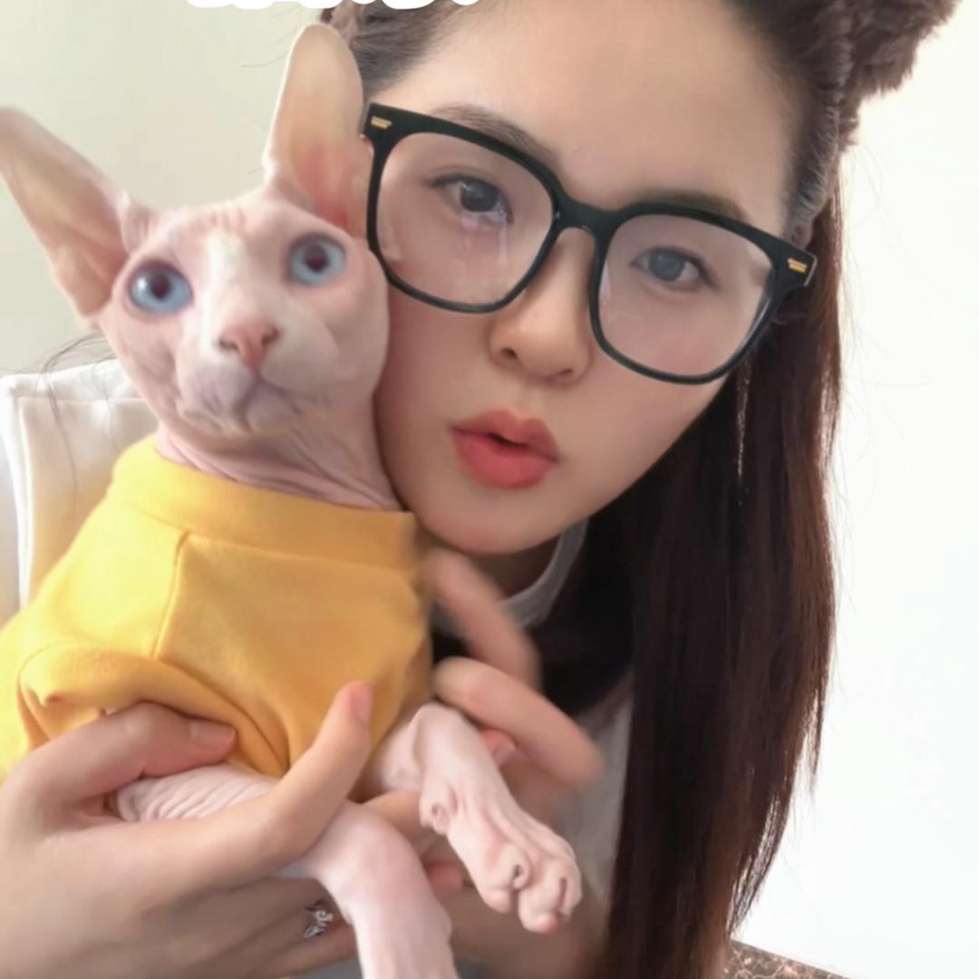 兜兜猫(精致薅羊毛版)