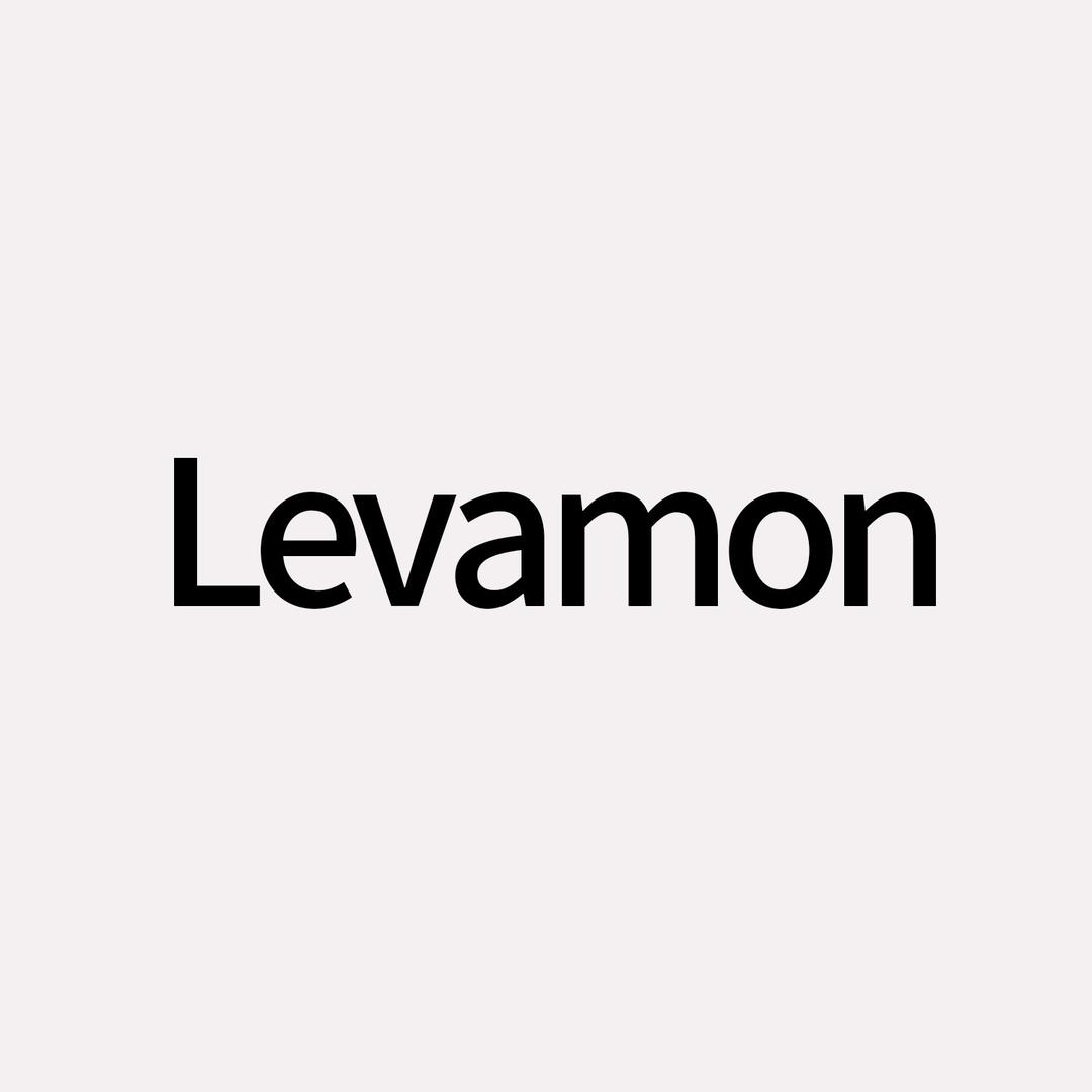 Levamon餐饮具店