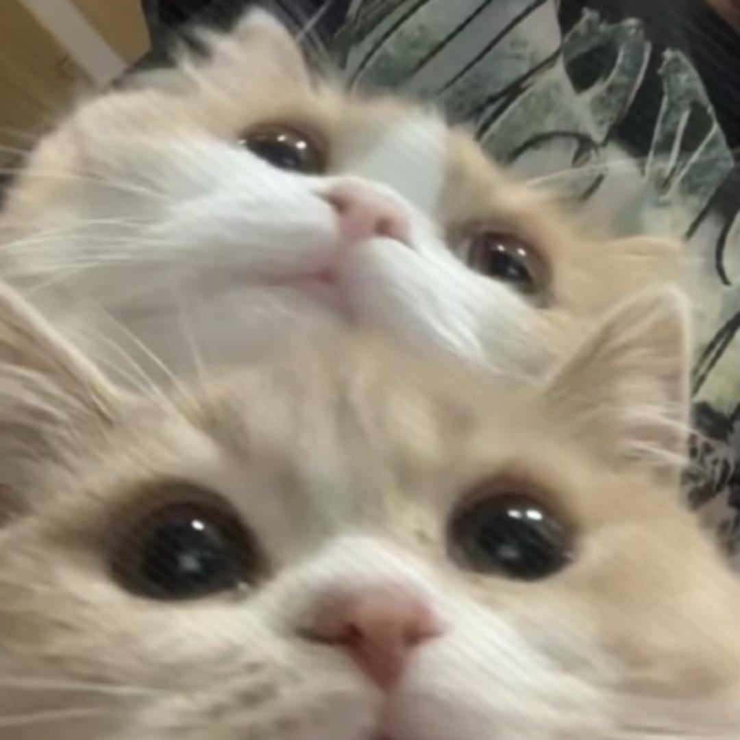 小源小源