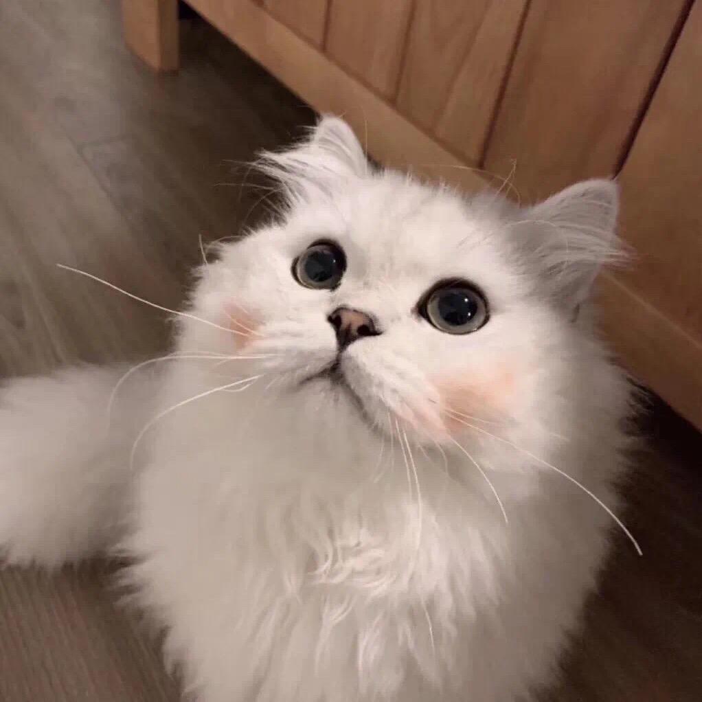 溃之