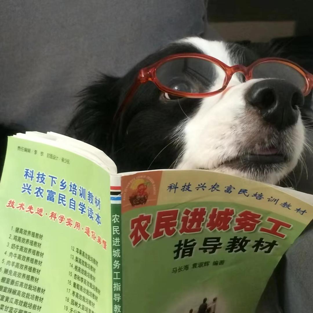 小哭包·