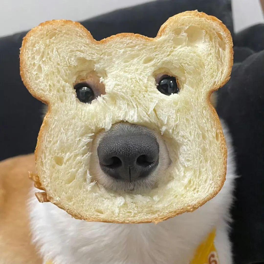 好柿多多