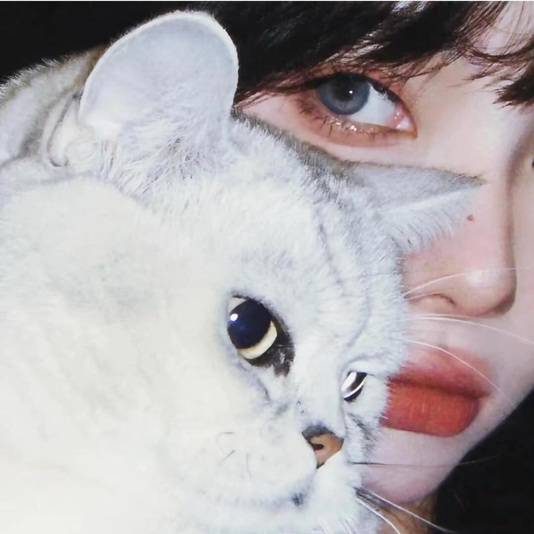 _'Z ᴸ .🦩