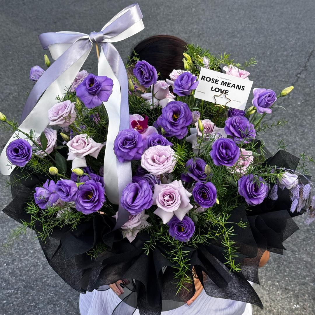 椿日来信🌷
