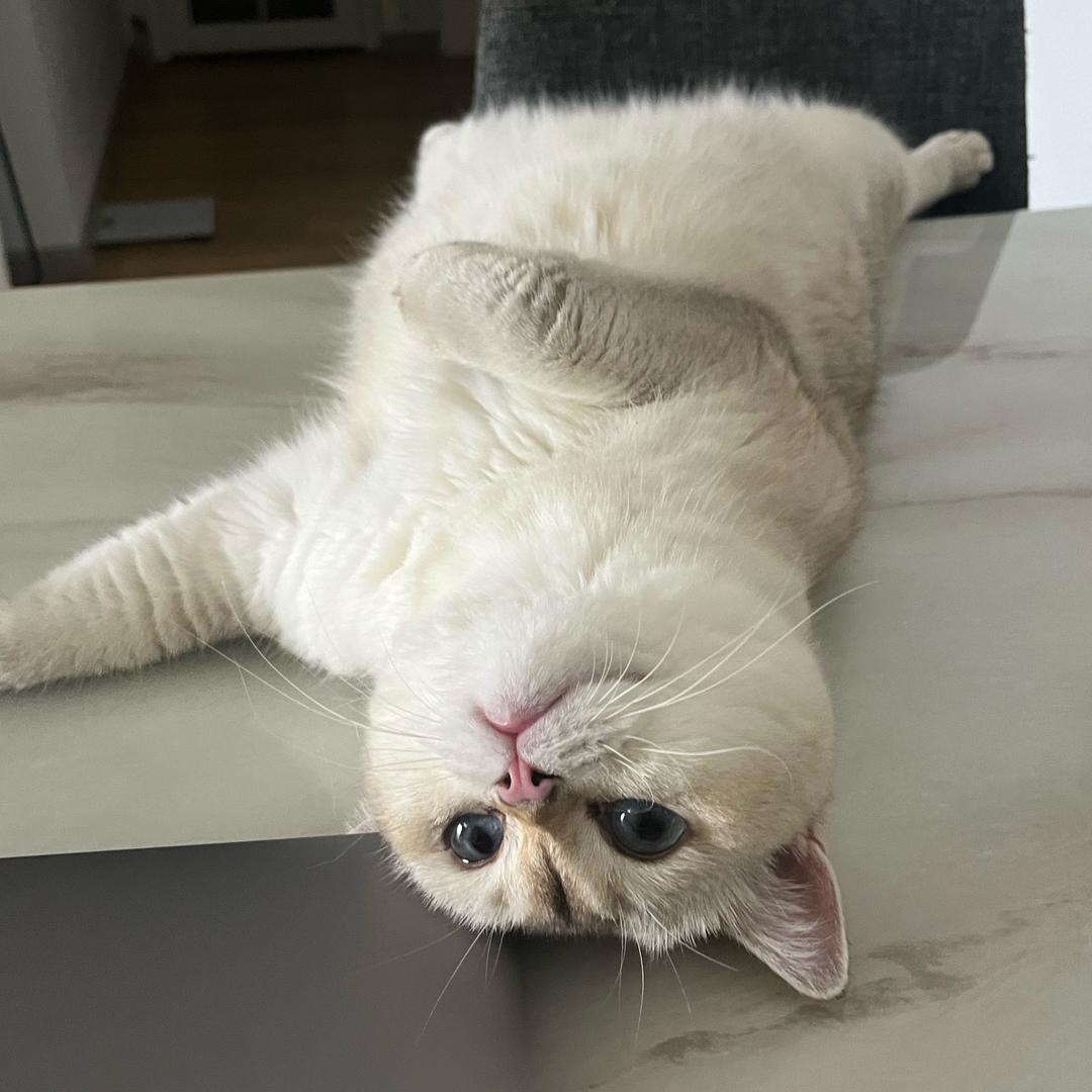 ，，，，，，，，，，，，