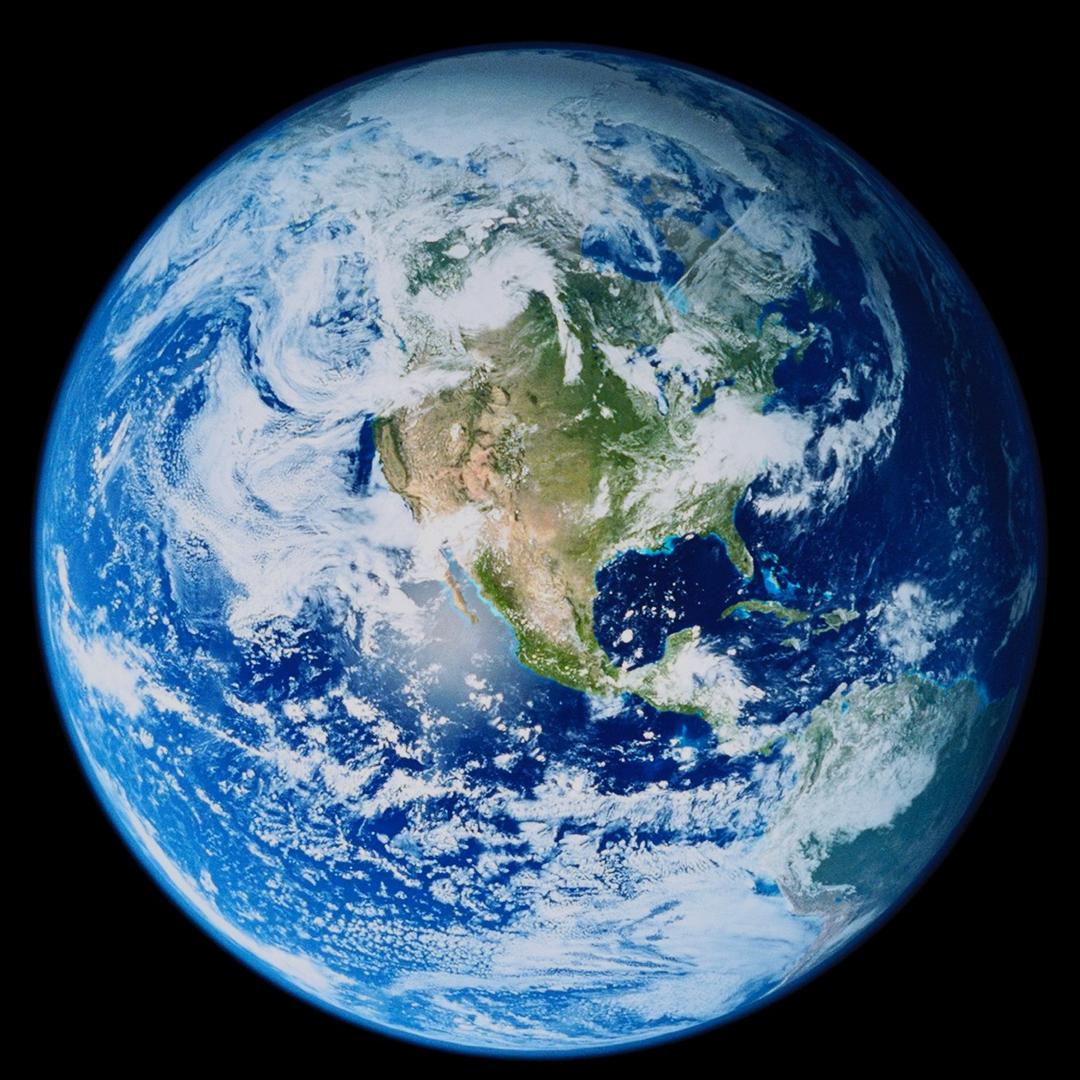 社会路难走有人也有狗