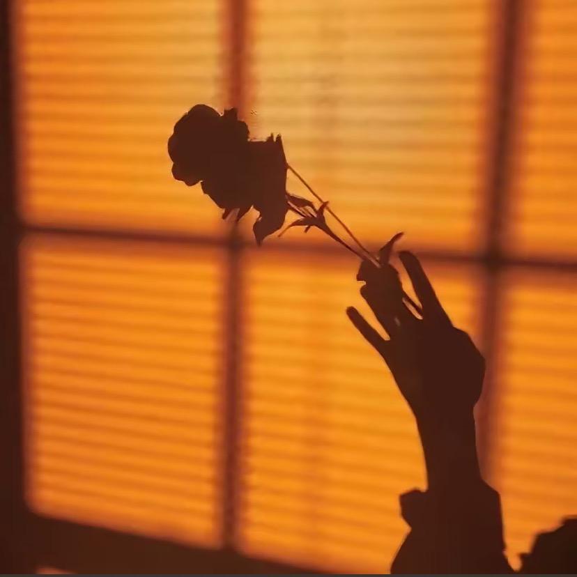 蓝心妍 ❤️小可爱