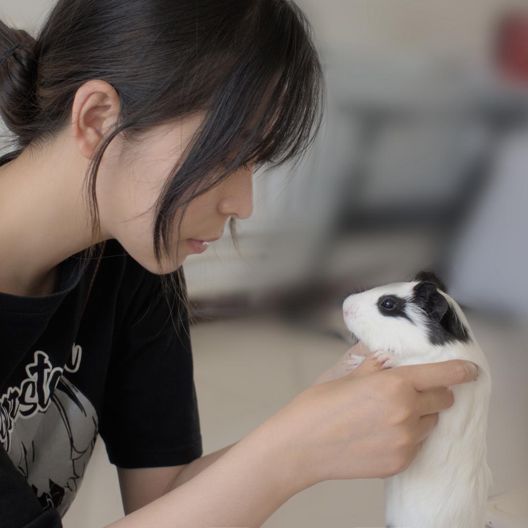 带只奶猫去旅行