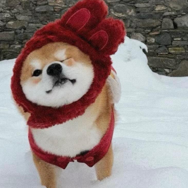 鱼多多🐟🐟🐟