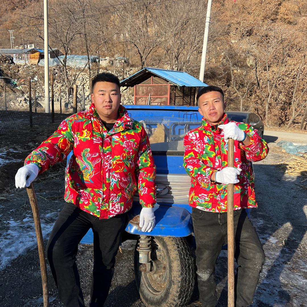 东北哼哈二将