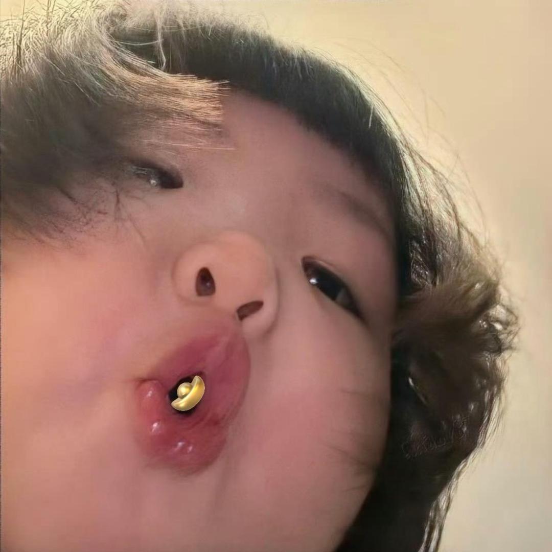 饭兜