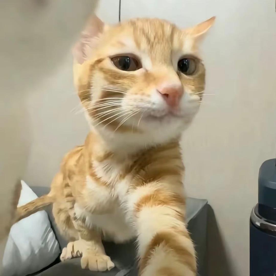 170372177