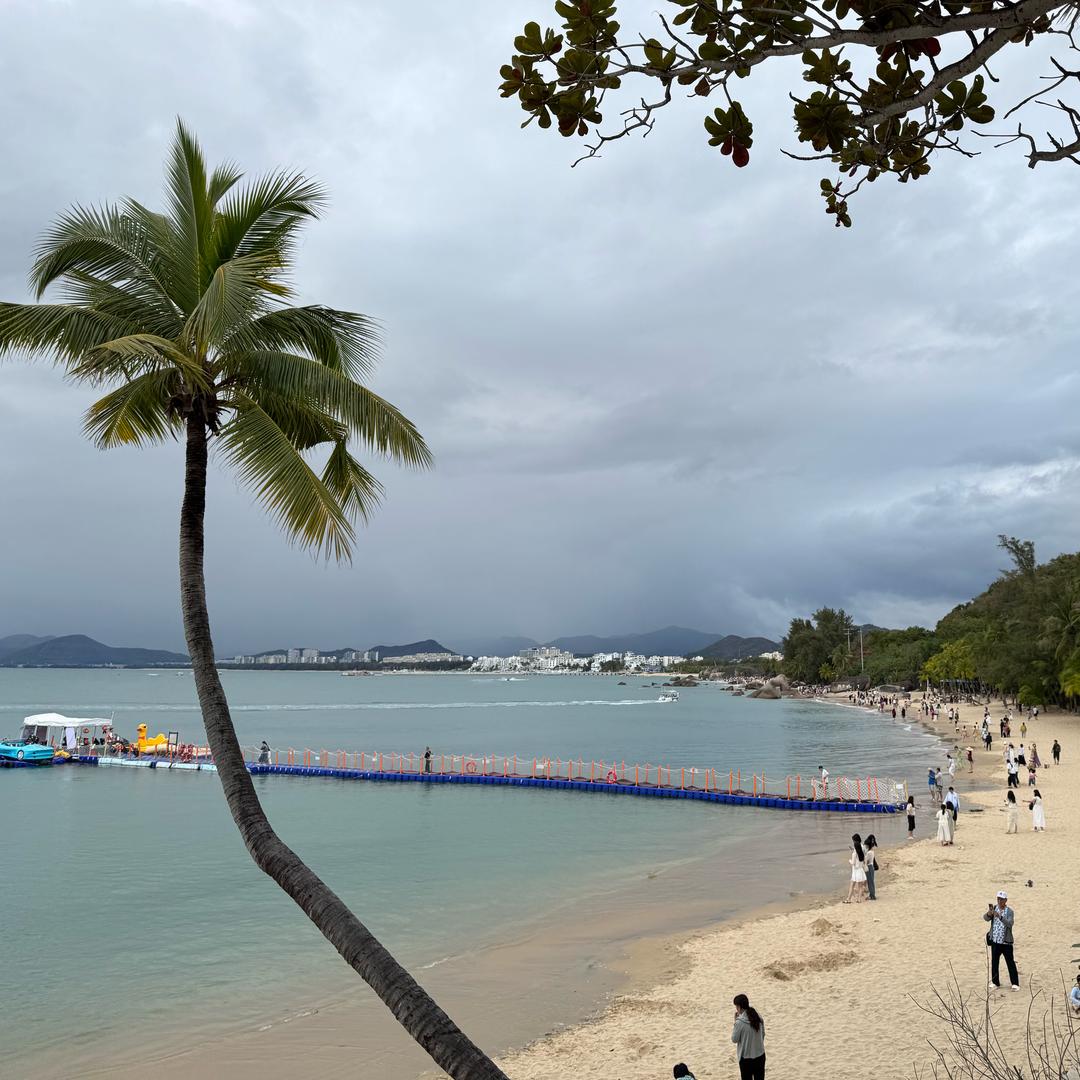 想去油罐车的油麦菜