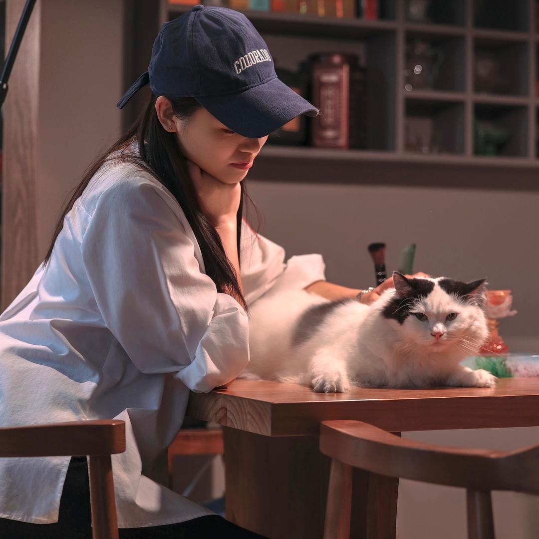 花姐有七只猫