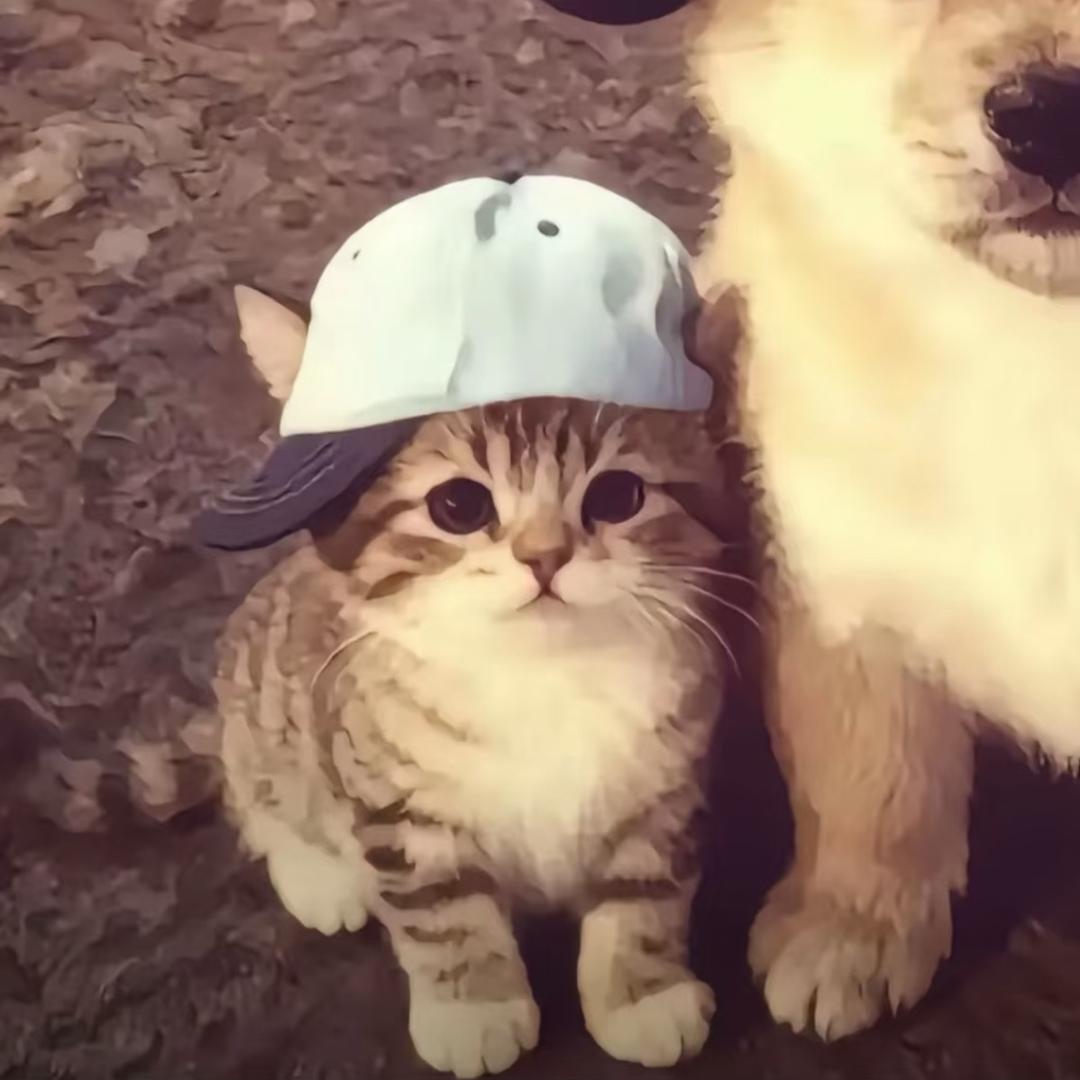陈子汁🍊