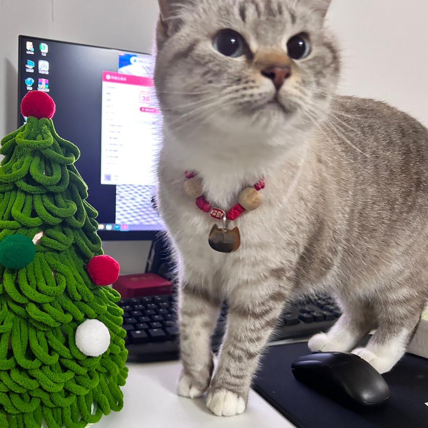 小肚不是大壮🔝贴贴