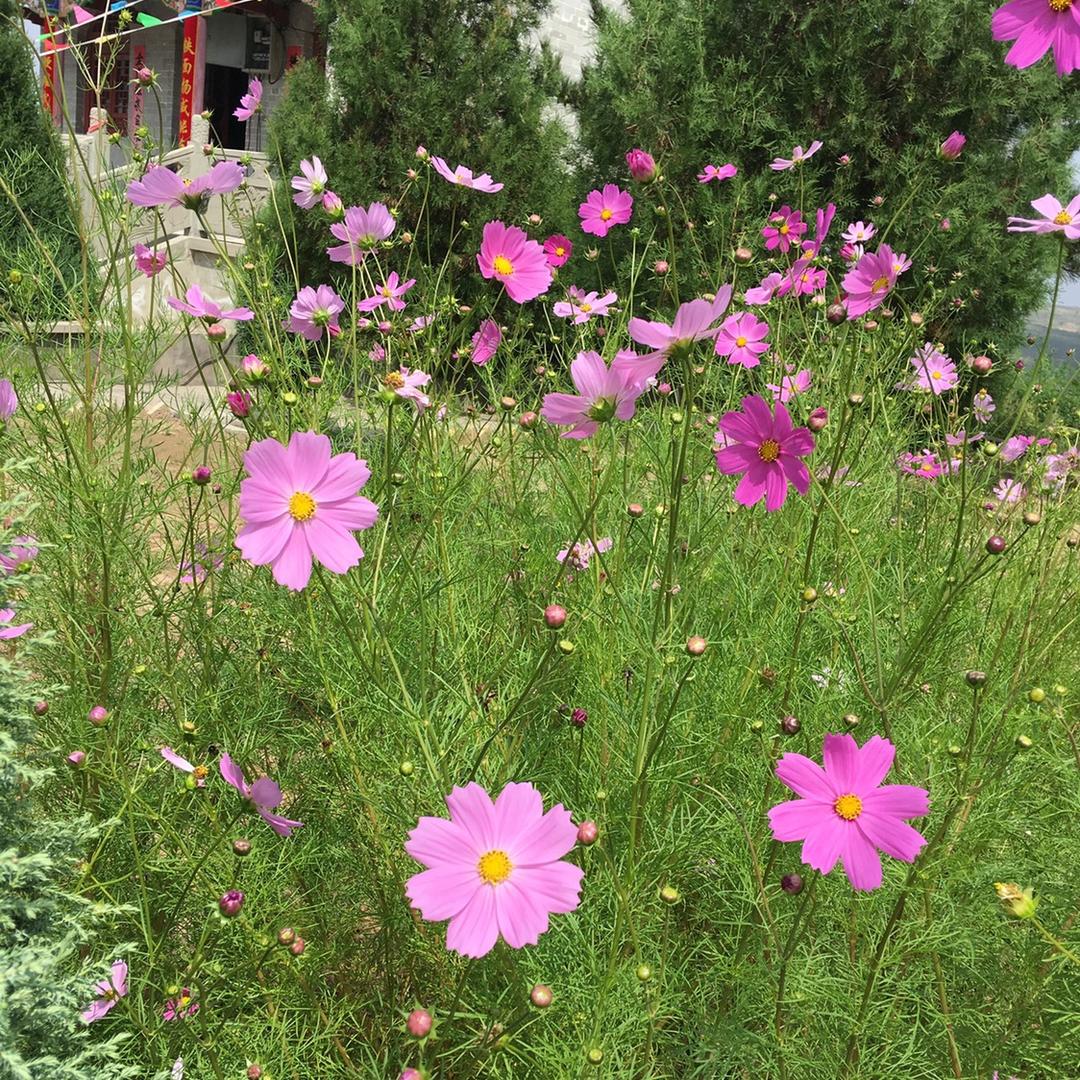 @因为有你