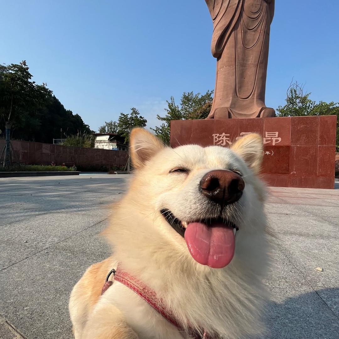 就是蛋蛋