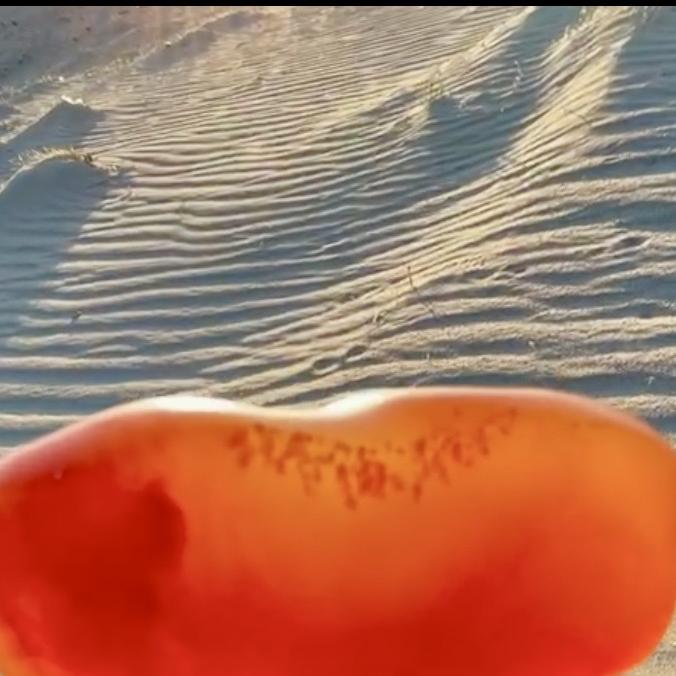 臻品美石