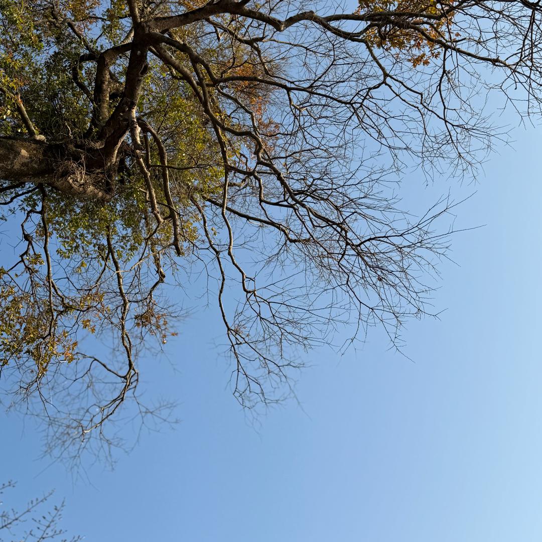陈住气-