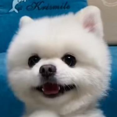 优贝李雪球🍼