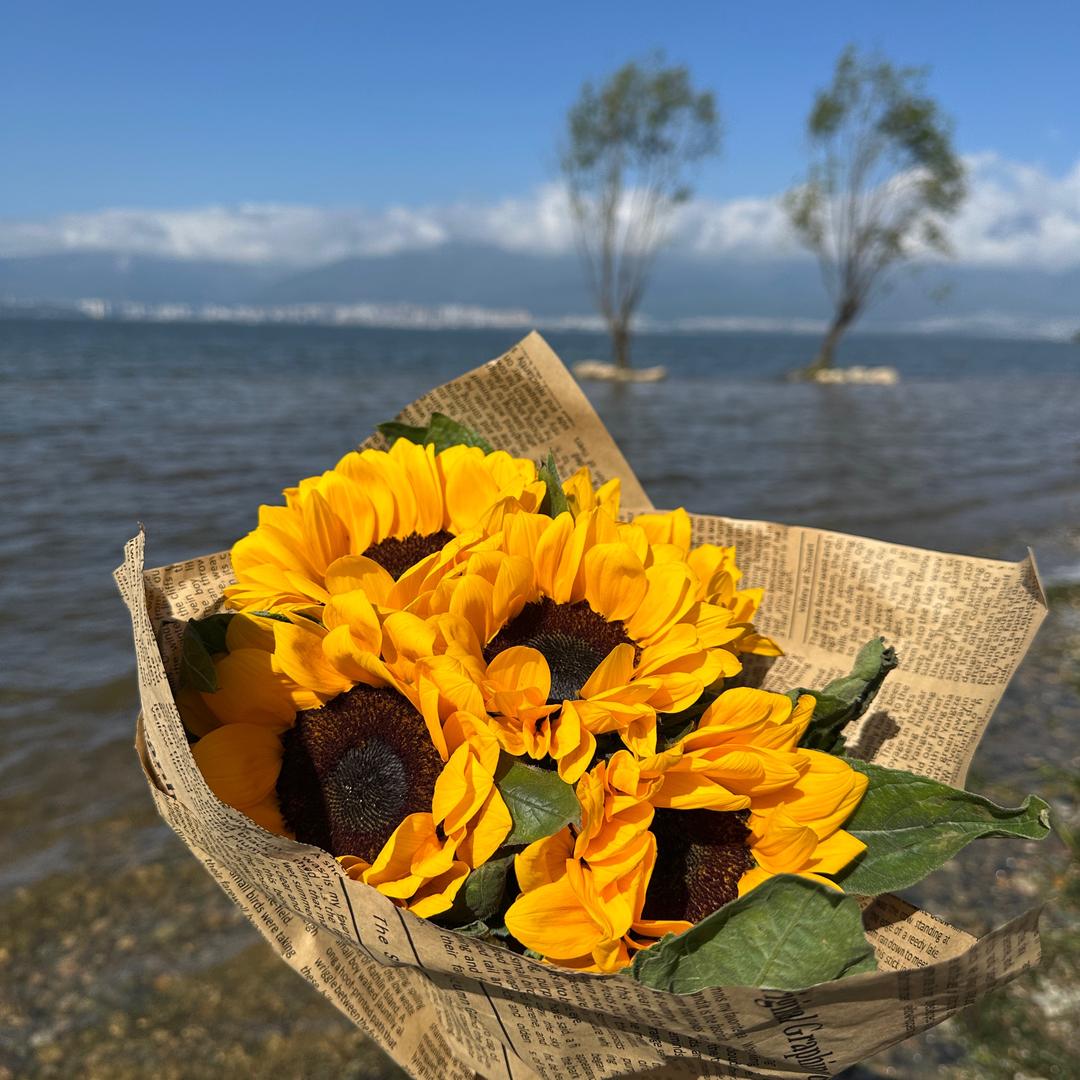 墨菲的旅途（户外版）