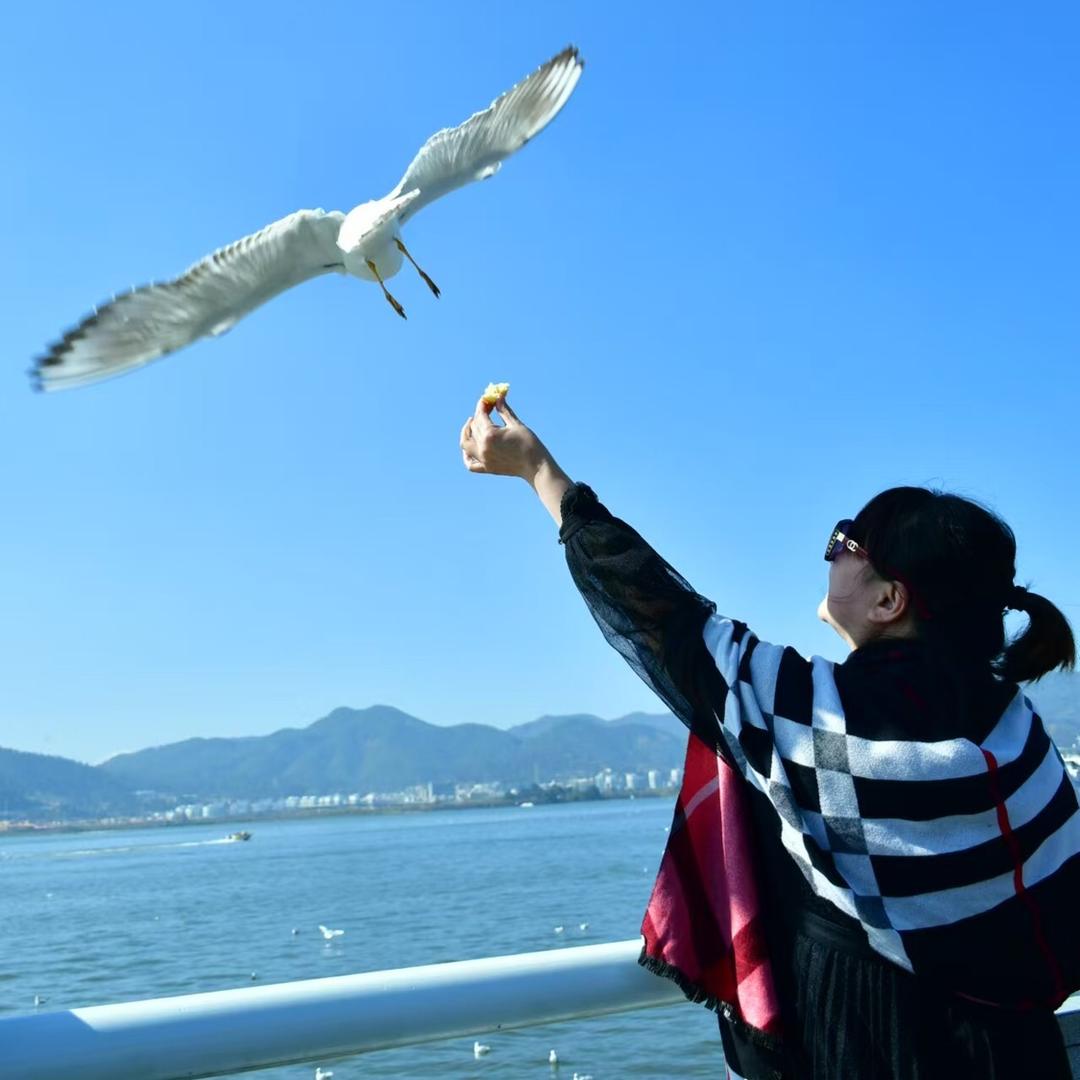 天佑木子