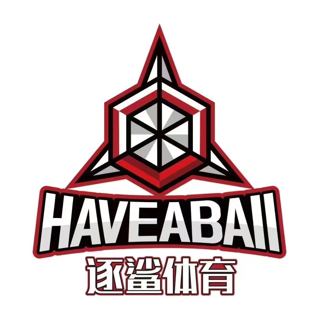 哈尔滨逐鲨体育篮球八区教练