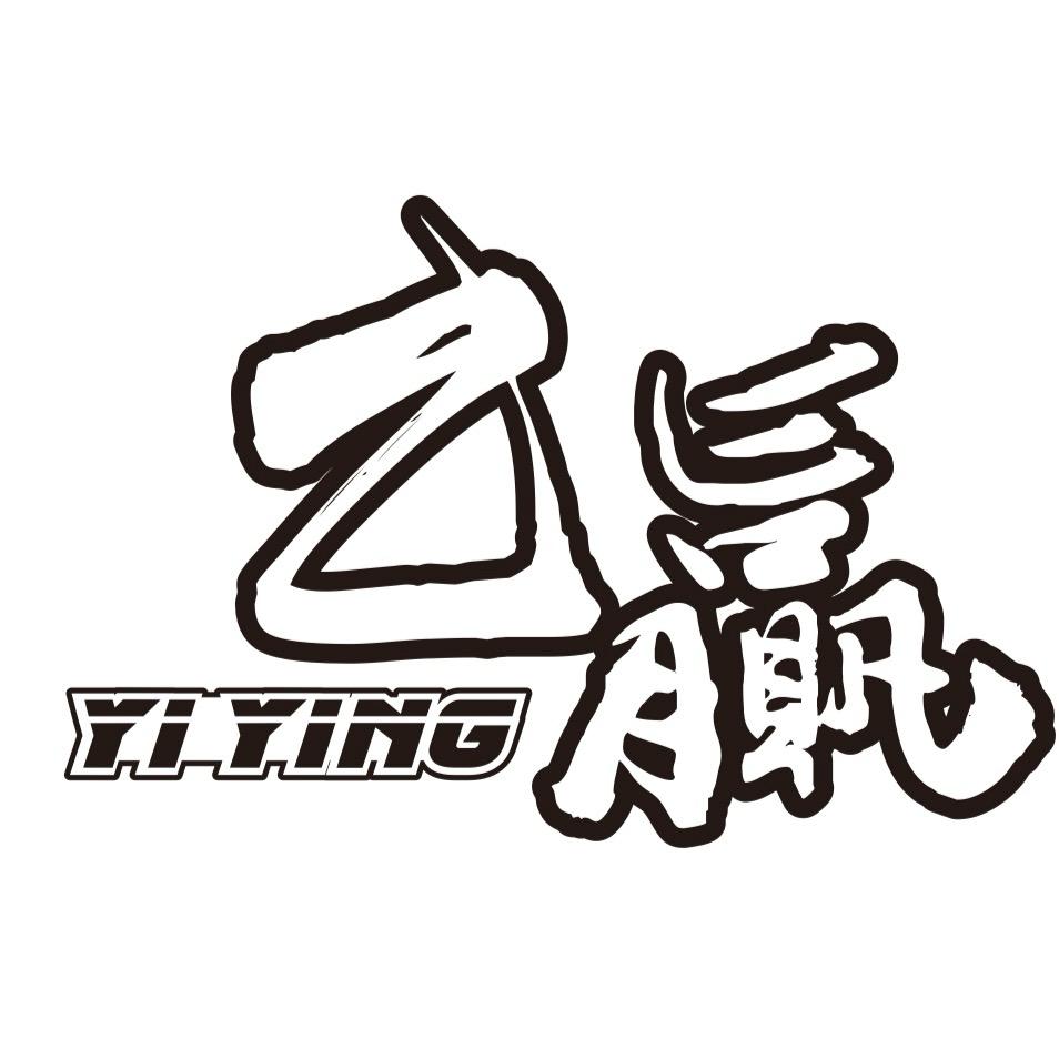 乙赢