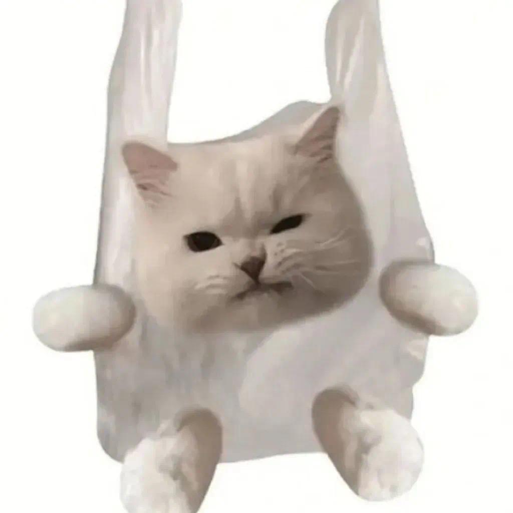 ꉂ･･★