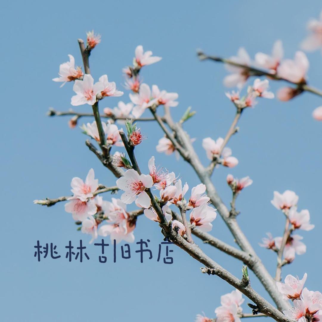 桃林古旧书店