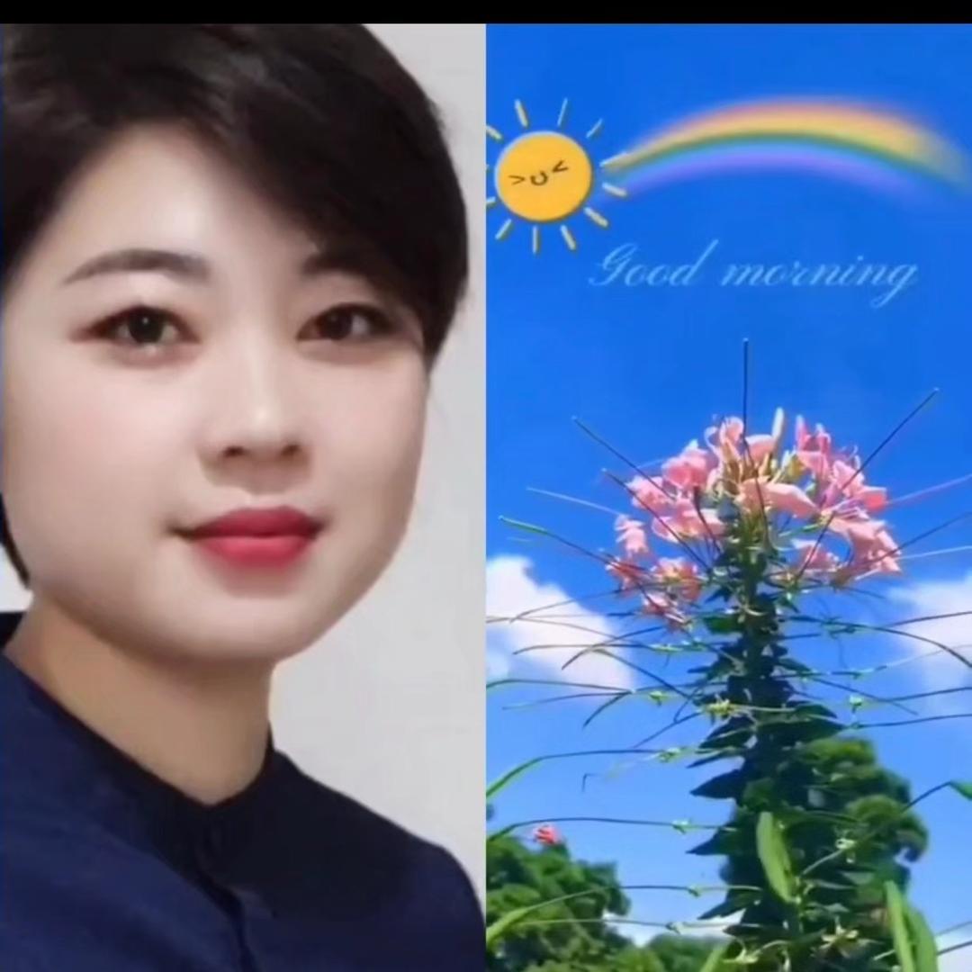 小马哥